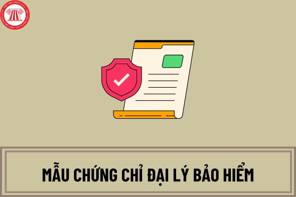 Mẫu chứng chỉ đại lý bảo hiểm mới nhất 2025 là mẫu nào? Chứng chỉ đại lý bảo hiểm có bao nhiêu loại?