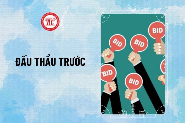 Đấu thầu trước là gì? Các gói thầu nào được thực hiện đấu thầu trước theo quy định mới từ 2025?