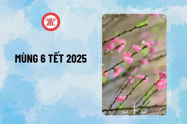 Mùng 6 Tết 2025 là ngày mấy dương lịch? Mùng 6 tết 2025 thứ mấy? Tự ý nghỉ thêm sau lịch nghỉ Tết của công ty có bị đuổi việc?