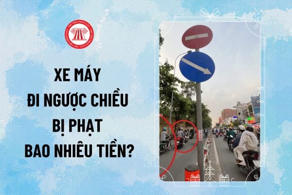 Xe máy đi ngược chiều phạt bao nhiêu tiền 2025? Lỗi đi ngược chiều xe máy 2025 phạt tiền, trừ điểm ra sao?