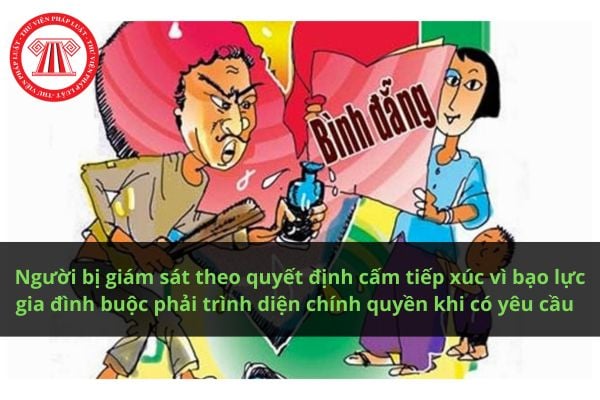 Pháp luật