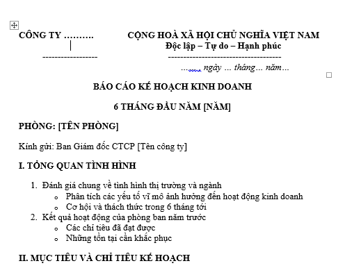 Mẫu báo cáo kế hoạch kinh doanh 6 tháng đầu năm của phòng ban cho giám đốc CTCP