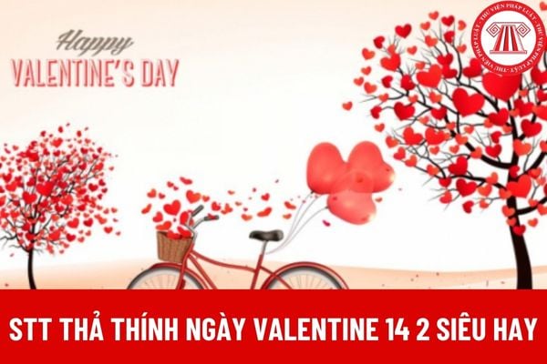 STT thả thính ngày valentine 14 2 siêu hay, caption lễ tình nhân ngọt ngào, lãng mạn? Valentine 14 2 có phải là ngày nghỉ lễ, tết của lao động còn độc thân? 