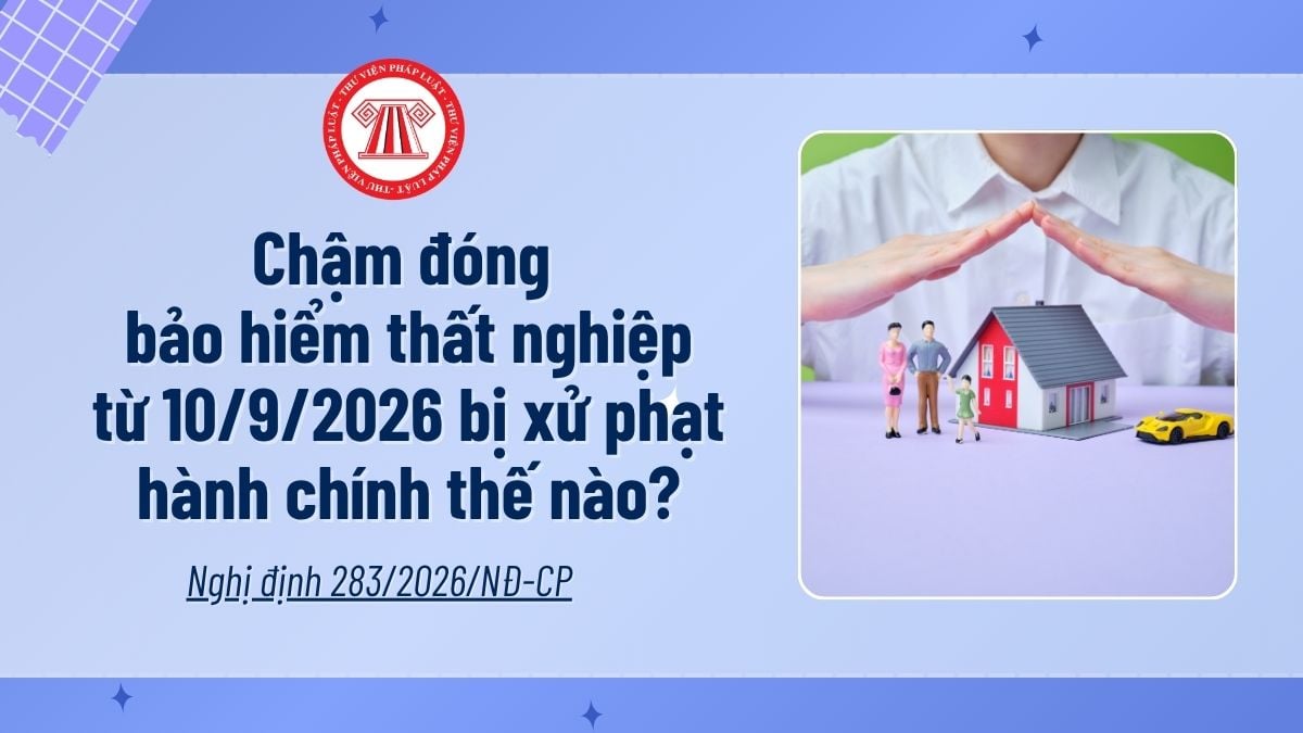 Pháp luật