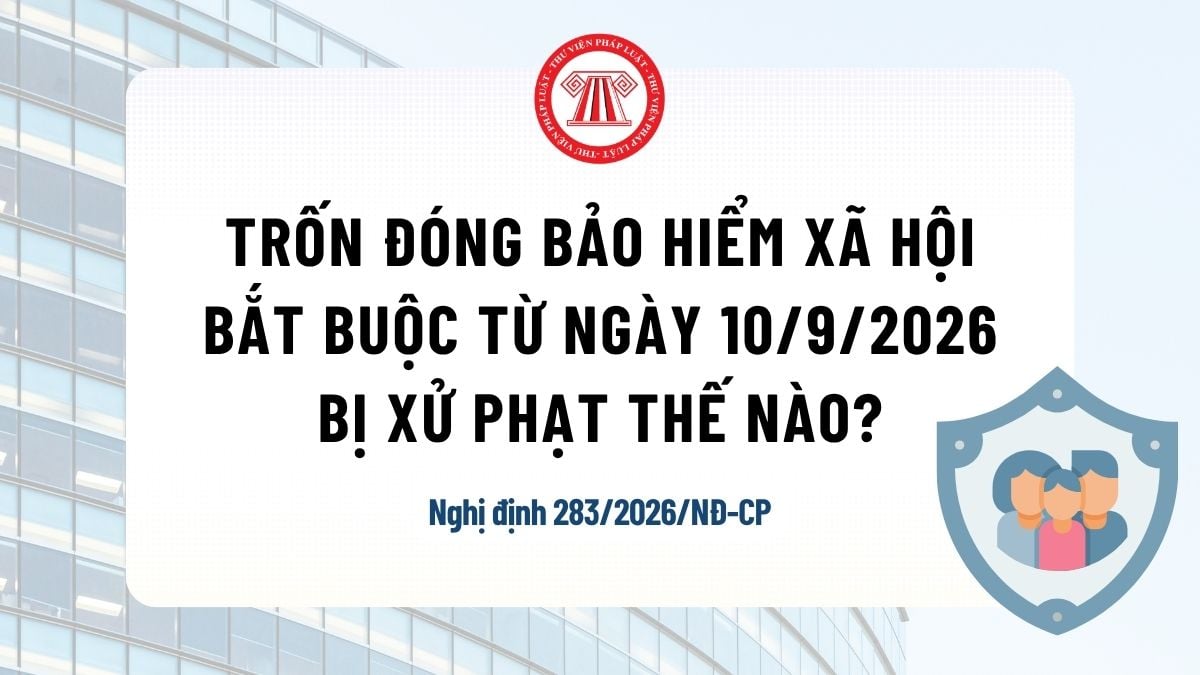 Pháp luật