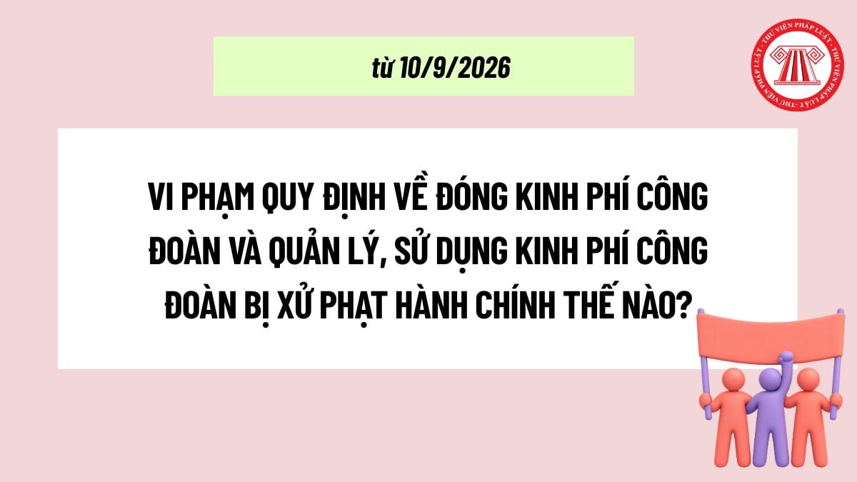 Pháp luật