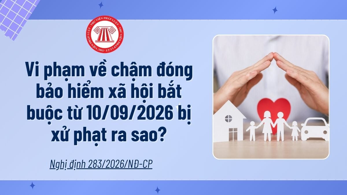 Pháp luật