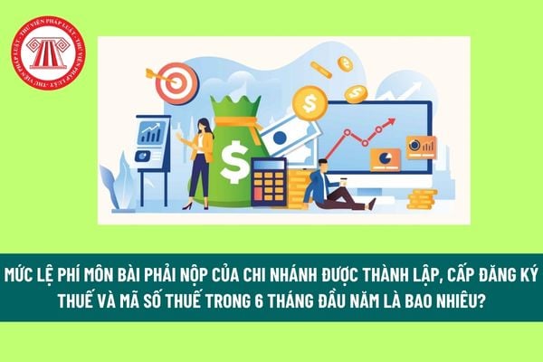 Mức lệ phí môn bài phải nộp của chi nhánh được thành lập, cấp đăng ký thuế và mã số thuế trong 6 tháng đầu năm là bao nhiêu? 