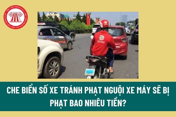 Che biển số xe tránh phạt nguội xe máy sẽ bị phạt bao nhiêu tiền? Bị trừ mấy điểm giấy phép lái xe theo Nghị định 168?