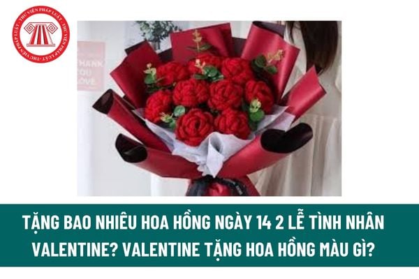 Tặng bao nhiêu hoa hồng ngày 14 2 lễ Tình nhân Valentine? Valentine tặng hoa hồng màu gì?  Lễ Tình nhân là ngày lễ lớn? 