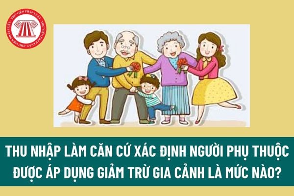 Pháp luật