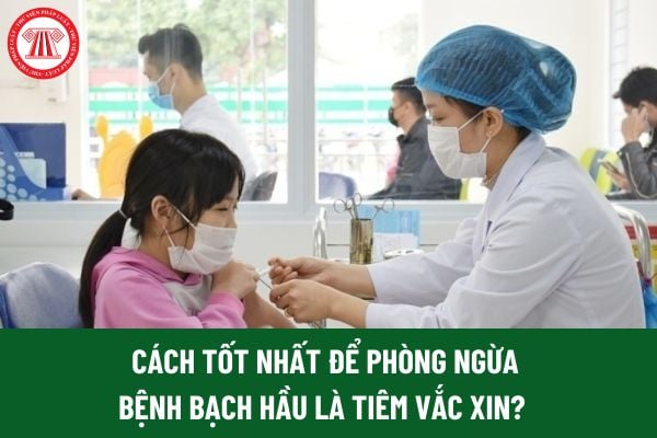 Cách tốt nhất để phòng ngừa bệnh bạch hầu là tiêm vắc xin? Hướng dẫn về lịch tiêm vắc xin bệnh bạch hầu? 