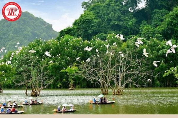 Tội vi phạm quy định về quản lý khu bảo tồn thiên nhiên được quy định như thế nào? Người phạm tội bị phạt tù cao nhất bao nhiêu năm?