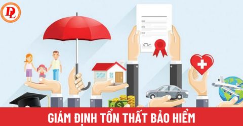 Có được cung cấp dịch vụ giám định tổn thất bảo hiểm khi tổ chức cung cấp cũng là bên mua bảo hiểm? 