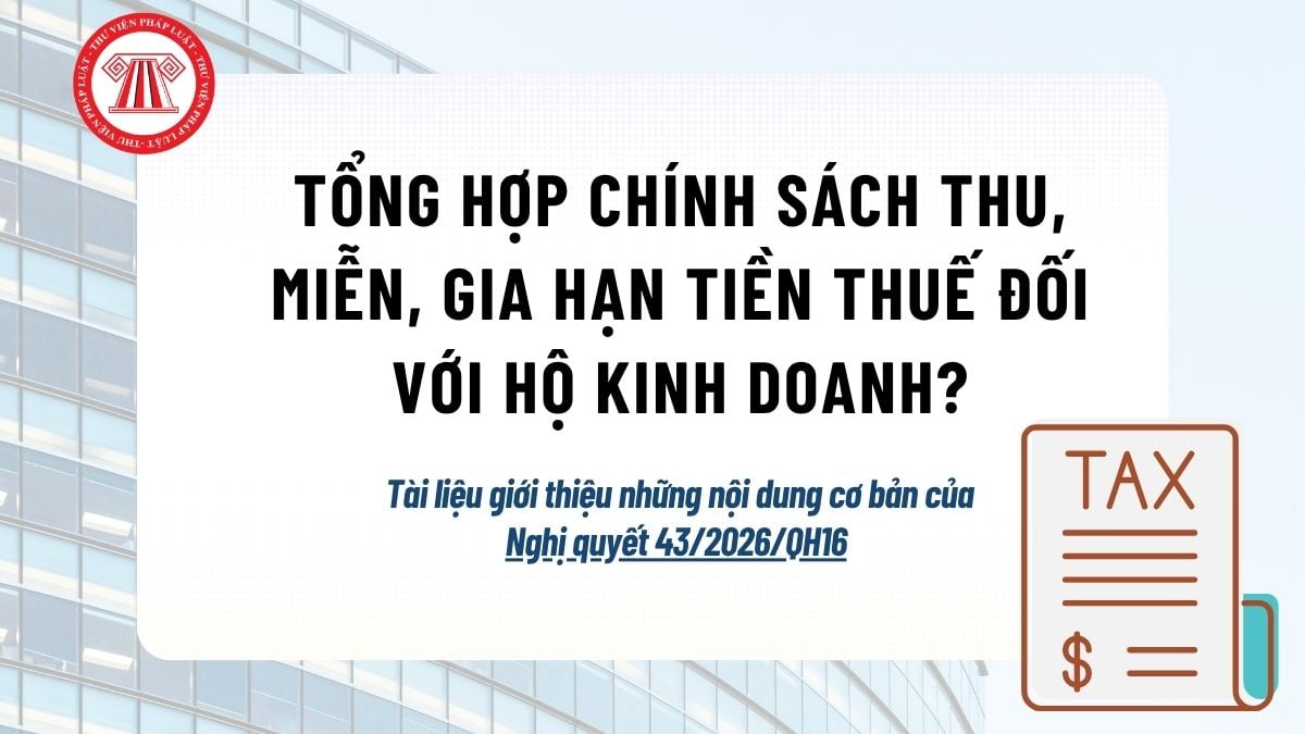 Pháp luật