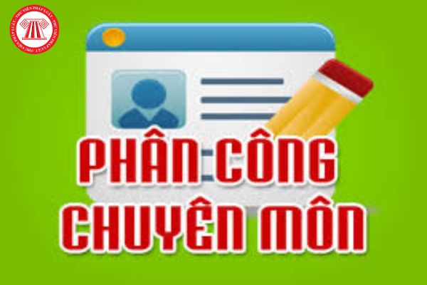 Mẫu quyết định phân công chuyên môn giáo viên? Giáo viên tiểu học, THCS, THPT sẽ có thời gian làm việc trong năm học như thế nào?