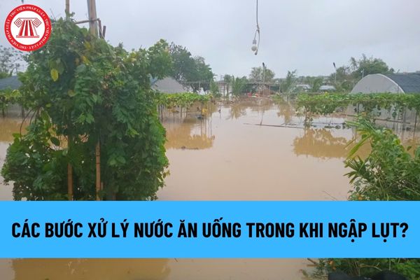 Các bước xử lý nước ăn uống trong khi ngập lụt? Tin cảnh báo ngập lụt có nêu độ sâu ngập lụt lớn nhất không? 