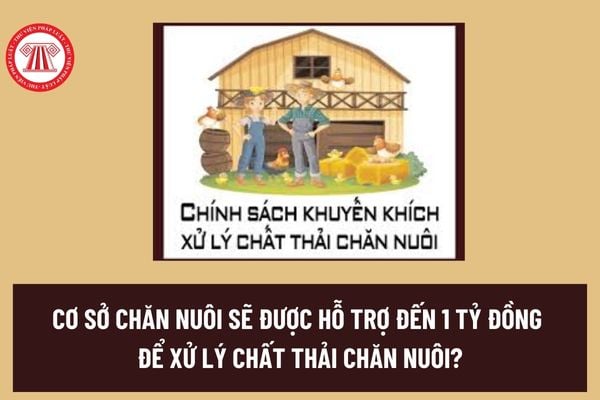 Chăn nuôi an toàn sinh học là gì? Cơ sở chăn nuôi sẽ được hỗ trợ đến 1 tỷ đồng để xử lý chất thải chăn nuôi? 