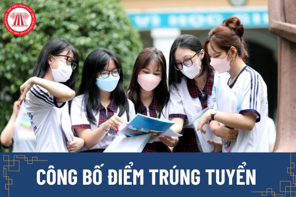 Trường đại học sẽ công bố điểm trúng tuyển vào các ngành, chương trình đào tạo của trường tại đâu? 