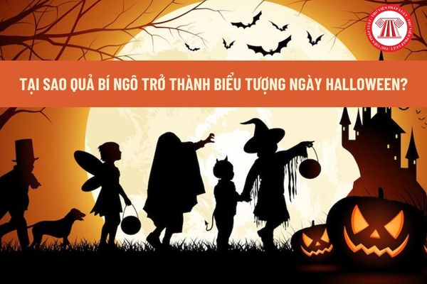 Tại sao quả bí ngô trở thành biểu tượng của ngày Halloween? Người lao động nước ngoài làm việc tại Việt Nam có được nghỉ làm ngày Halloween?