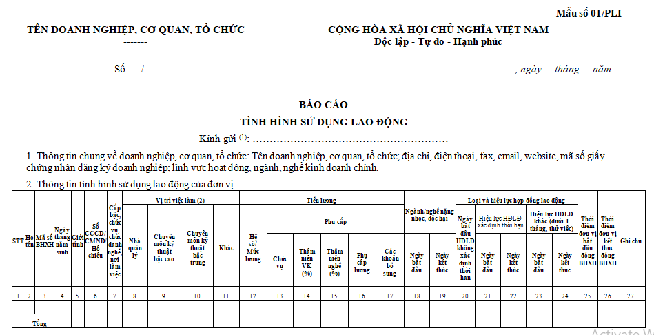 Mẫu báo cáo tình hình sử dụng lao động 06 tháng cuối năm