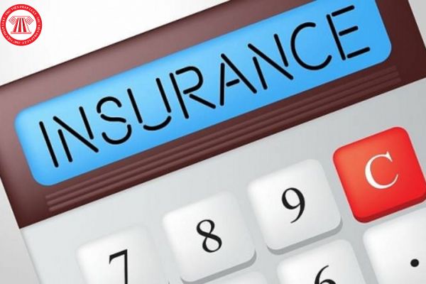 Doanh nghiệp chuyển giao chỉ được chuyển giao toàn bộ danh mục hợp đồng bảo hiểm của một nghiệp vụ bảo hiểm đúng không?