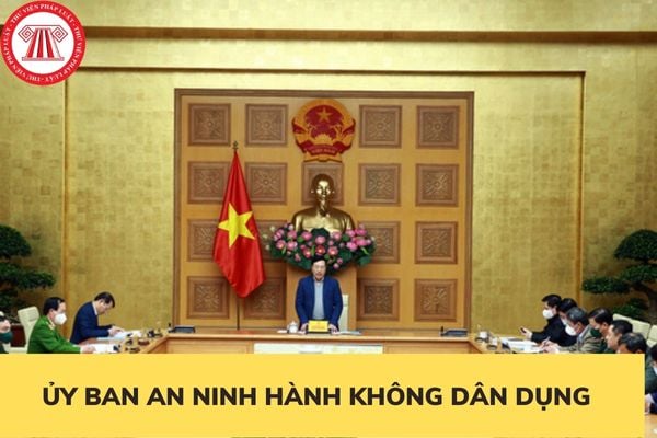 Ủy ban nhân dân hàng không