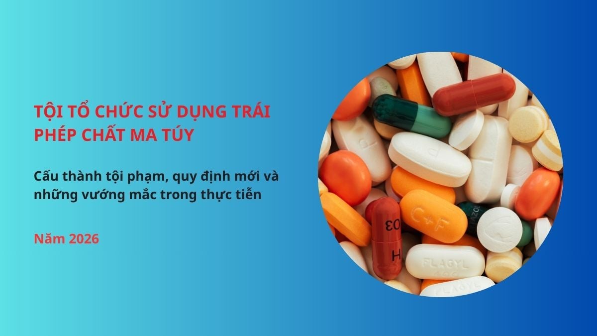Pháp luật