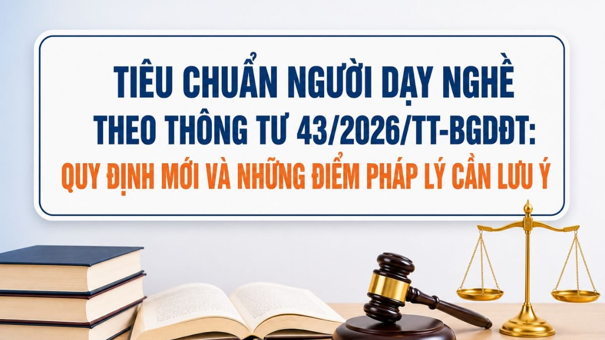 Pháp luật