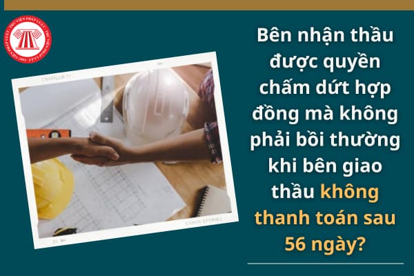 Bên nhận thầu được quyền chấm dứt hợp đồng mà không phải bồi thường khi bên giao thầu không thanh toán sau 56 ngày?