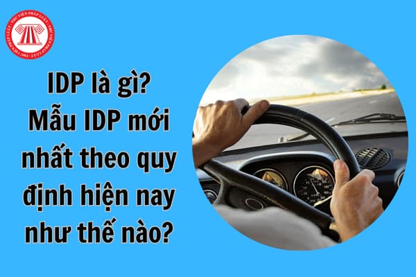 IDP là gì? Mẫu IDP mới nhất theo quy định hiện nay như thế nào?