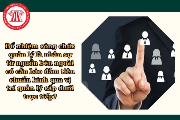 Bổ nhiệm công chức quản lý là nhân sự từ nguồn bên ngoài có cần bảo đảm tiêu chuẩn kinh qua vị trí quản lý cấp dưới trực tiếp?