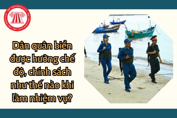 Dân quân tự vệ biển là thành phần của lực lượng gì? Dân quân biển được hưởng chế độ, chính sách như thế nào?