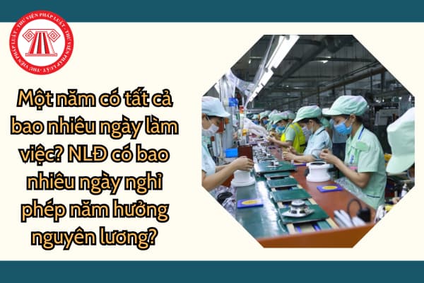 Một năm có tất cả bao nhiêu ngày làm việc? NLĐ có bao nhiêu ngày nghỉ phép năm hưởng nguyên lương?