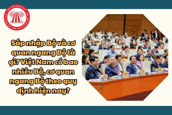 Sáp nhập Bộ và cơ quan ngang Bộ là gì? Việt Nam có bao nhiêu Bộ, cơ quan ngang Bộ theo quy định hiện nay?