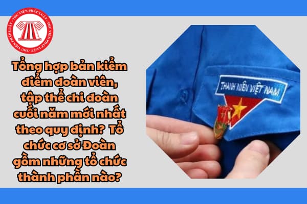 Tổng hợp bản kiểm điểm đoàn viên, tập thể chi đoàn cuối năm mới nhất theo quy định?Tổ chức cơ sở Đoàn gồm những tổ chức thành phần nào?