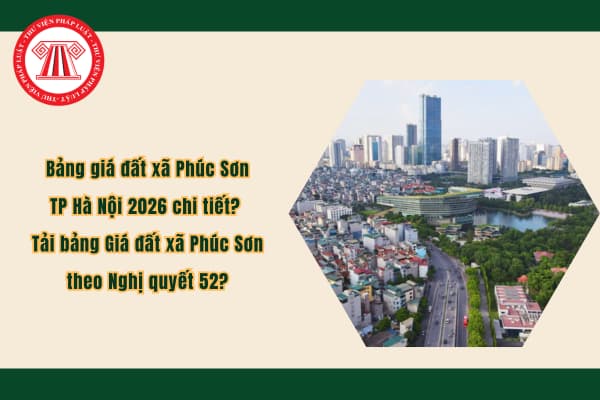 Pháp luật