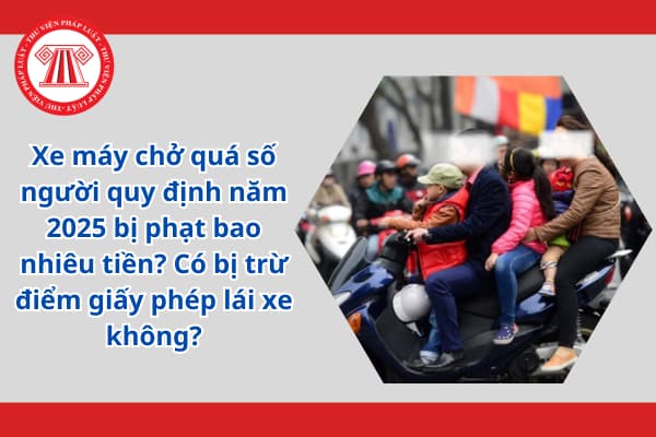 Xe máy chở quá số người quy định năm 2025 bị phạt bao nhiêu tiền? Có bị trừ điểm giấy phép lái xe không?