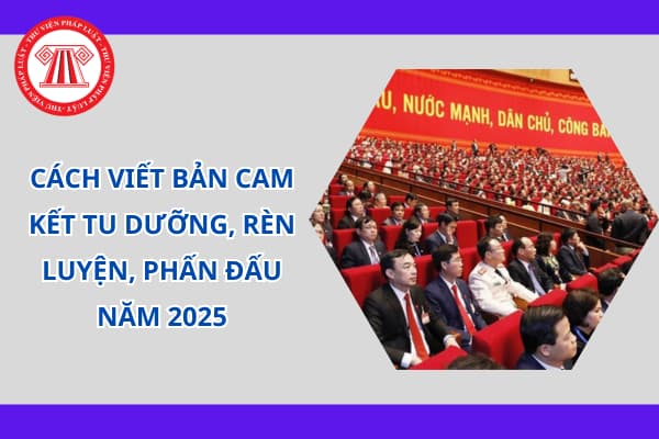 Cách viết bản cam kết tu dưỡng, rèn luyện, phấn đấu 2025 của Đảng viên, cán bộ chi tiết như thế nào?