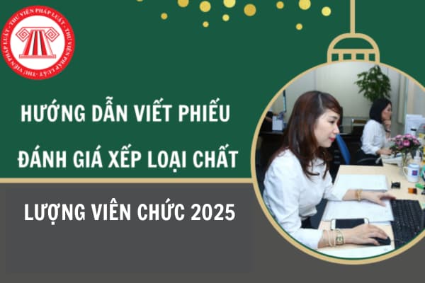 Hướng dẫn đánh giá xếp loại chất lượng viên chức