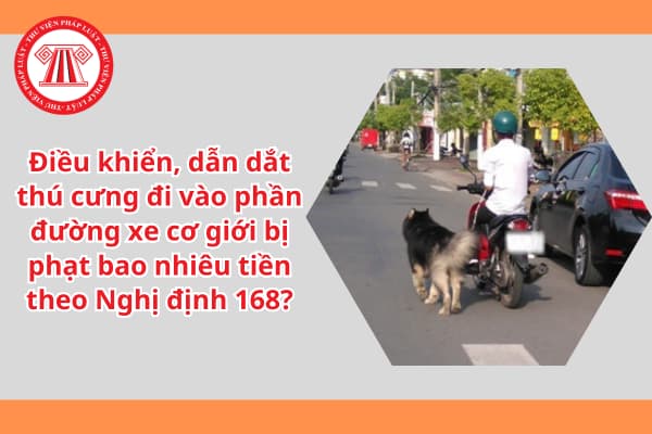 Điều khiển, dẫn dắt thú cưng đi vào phần đường xe cơ giới bị phạt bao nhiêu tiền theo Nghị định 168?