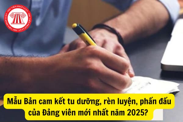 Mẫu Bản cam kết tu dưỡng, rèn luyện, phấn đấu của Đảng viên mới nhất năm 2025? Đánh giá, xếp loại chất lượng Đảng viên dựa trên khung tiêu chí nào?