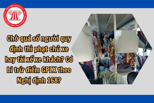 Chở quá số người quy định thì phạt chủ xe hay tài xế xe khách? Có bi trừ điểm GPLX theo Nghị định 168?