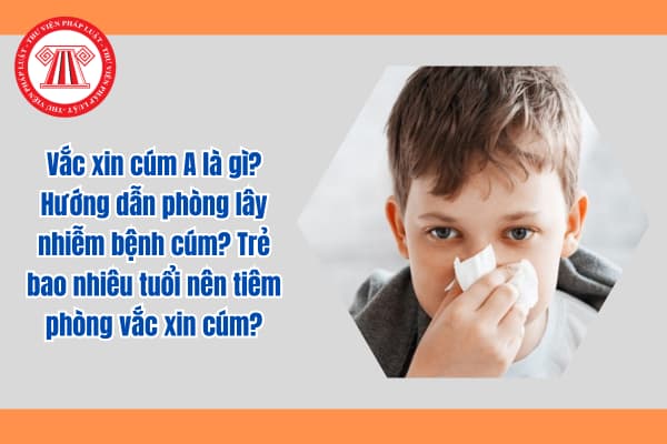 Vắc xin cúm A là gì? Hướng dẫn phòng lây nhiễm bệnh cúm? Trẻ bao nhiêu tuổi nên tiêm phòng vắc xin cúm?