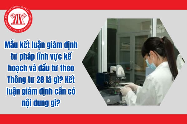 Mẫu kết luận giám định tư pháp lĩnh vực kế hoạch và đầu tư theo Thông tư 28 là gì? Kết luận giám định cần có nội dung gì?