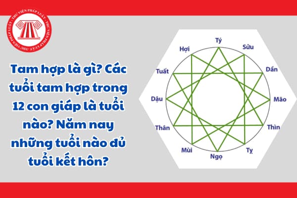 Tam hợp là gì? Các tuổi tam hợp trong 12 con giáp là tuổi nào? Năm nay những tuổi nào đủ tuổi kết hôn?