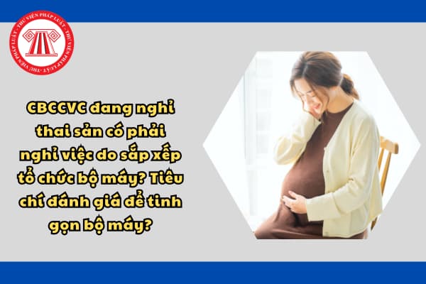 CBCCVC đang nghỉ thai sản có phải nghỉ việc do sắp xếp tổ chức bộ máy? Tiêu chí đánh giá để tinh gọn bộ máy