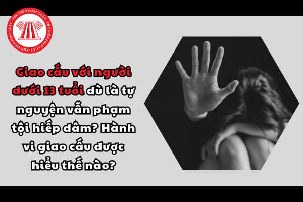 Giao cấu với người dưới 13 tuổi dù là tự nguyện vẫn phạm tội hiếp dâm? Hành vi giao cấu được hiểu thế nào?