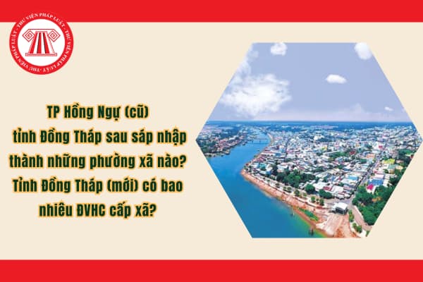 Pháp luật