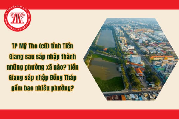 Pháp luật